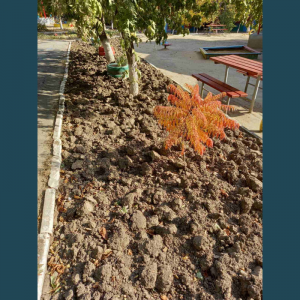 Implicarea activă a instituției IET nr. 188 în Campania „Curățenia generală de toamnă !”
