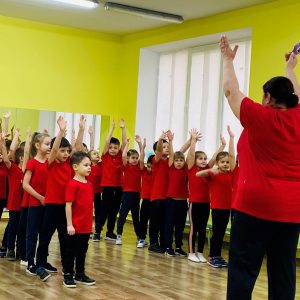 Organizarea și planificarea activităților demonstrative pentru realizarea domeniului Sănătate și motricitate